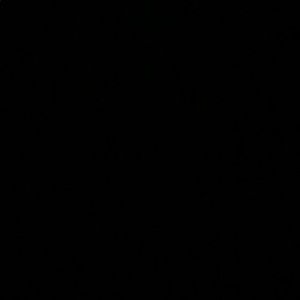 Meet your Posher, Nicoletta